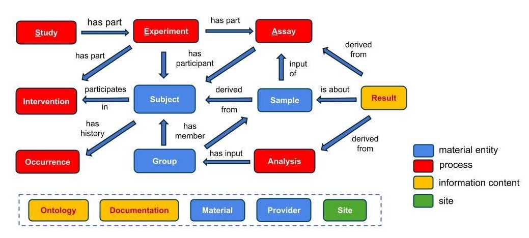 SEA-CDM Model
